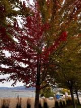 Penticton Day 3 Thursday 1 October 