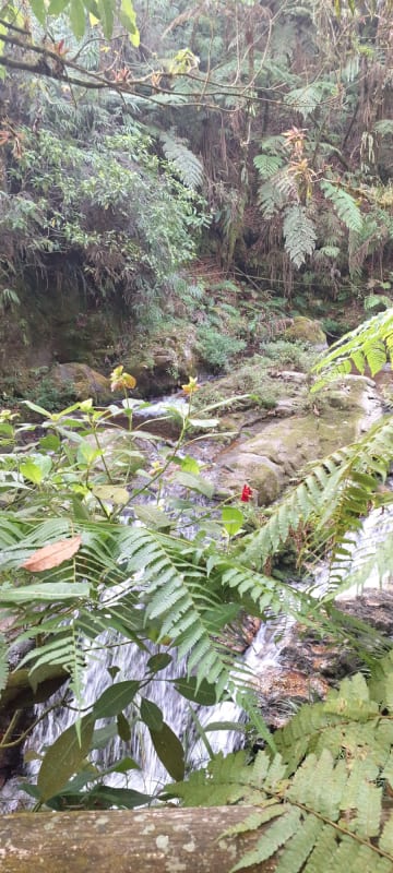Cuetzalan