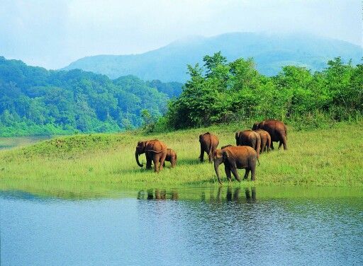 Kerala Trip