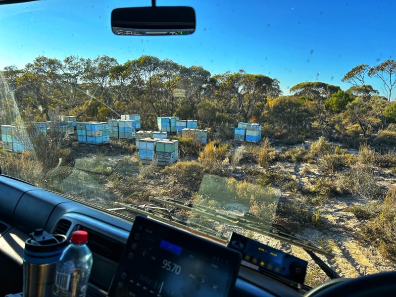 Beekeeper Mallie
