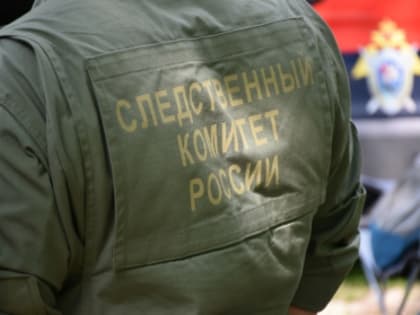 В Пензенском районе проводятся доследственные проверки по факту смерти двух мужчин в водоемах