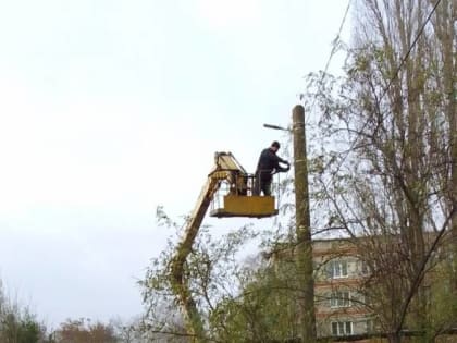 Пензенским аграриям возместят 182,4 млн рублей из резервного фонда правительства РФ