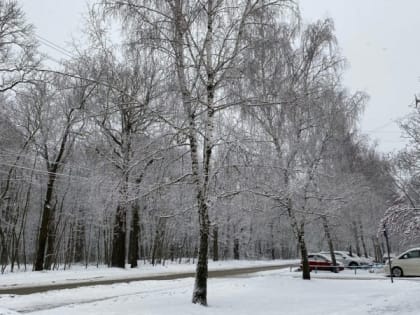 В Пензенской области 15 января температура воздуха опустится до -19 градусов