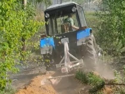 В Пензенской области стало в четыре раза меньше лесных пожаров