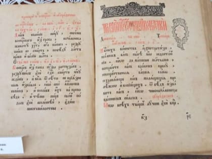 На выставке «Как учились на Руси» посетителям показали розги и горох