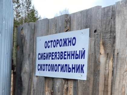В Пензенской области обустроят три сибиреязвенных скотомогильника за 6 000 000 рублей