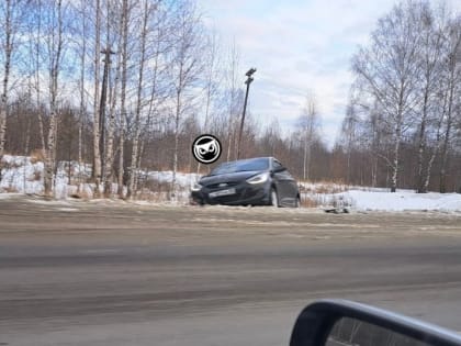 В Пензенской области иномарка вылетела с трассы