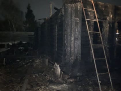 В Пензенской области проходит проверка по факту 81 - летнего мужчины при пожаре