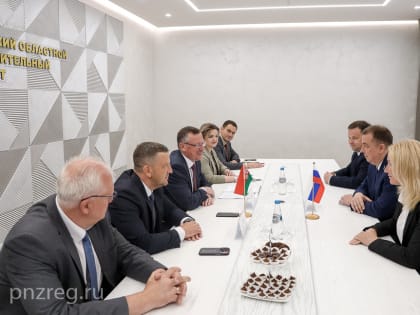 Сергей Федотов обсудил с Дмитрием Городецким перспективы сотрудничества между Пензой и Брестской областью