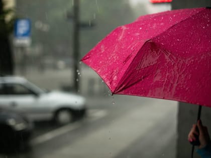 Жара уходит из Пензенской области: синоптики дали прогноз на неделю