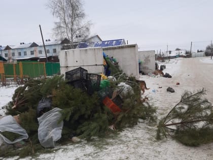 В Каменке Пензенской области выявили места несанкционированного размещения отходов