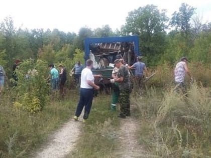 Лесники, чиновники и школьники убрались в лесу возле Воскресеновки