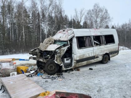 По факту смертельного ДТП в Нижнеломовском районе возбуждено уголовное дело