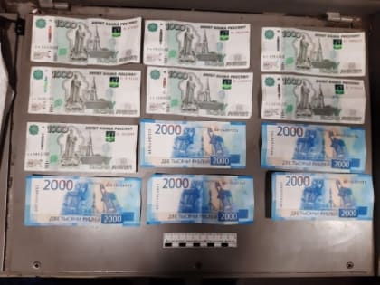 В Пензенском районе мужчина подозревается в покушении на дачу взятки сотруднику полиции