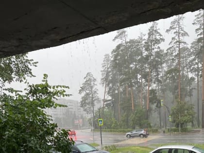 В Пензенской области 11 октября ожидается дождь