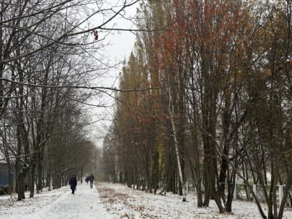 В Пензе 29 октября обещают мокрый снег