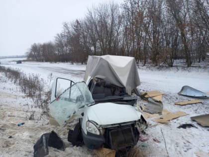 В Пензенской области после жесткого ДТП на трассе погиб 66-летний мужчина