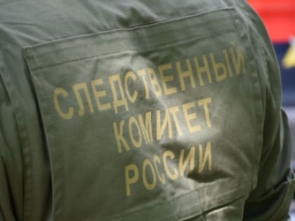 Стали известны подробности исчезновения 15-летней девушки в Пензе