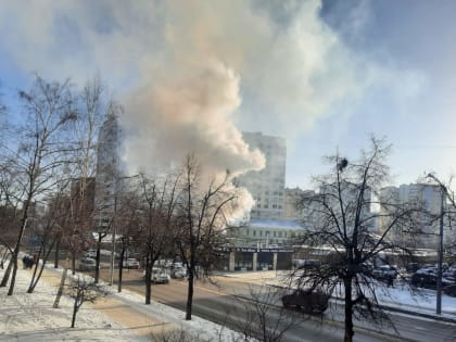 В центре Пензы горит срубовая баня