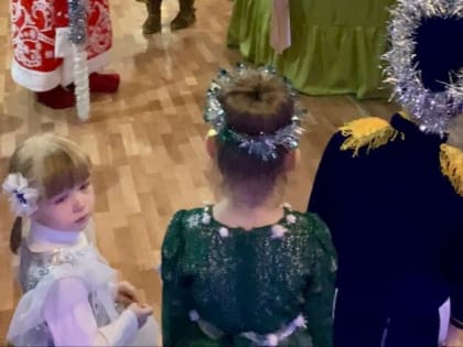 «Новогодний переполох»