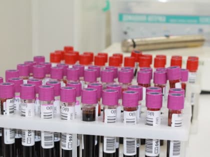 В 2022 году было заготовлено более 17,5 тысяч литров донорской крови
