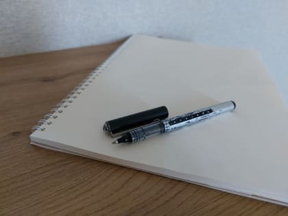 В Пензе на должность главы города есть три претендента