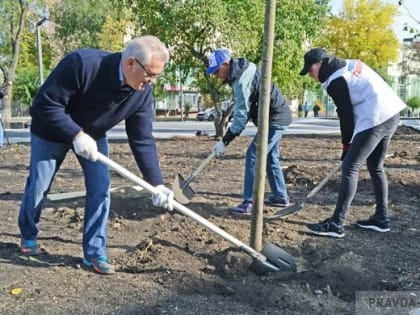 Иван Белозерцев посадил деревья в сквере на ул. Славы