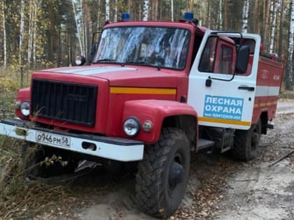 В Пензенской области из-за высокой пожароопасности усилят охрану лесов