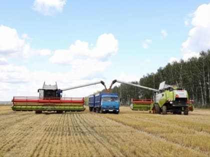 Первый миллион тонн зерна в Пензенской области уже собран