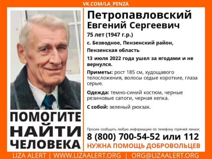 В Пензенской области продолжаются поиски без вести пропавшего 75-летнего Евгения Петропавловского