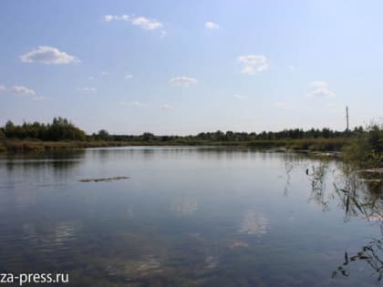 После жалобы пензенца убрали мусор у озера в п. Лесном