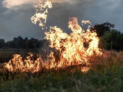В Пензенской области произошло три пожара