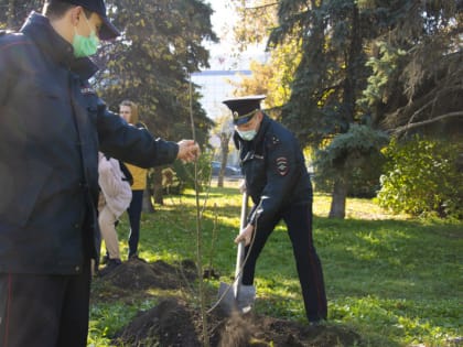 В Пензе полицейские и общественники высадили деревья в Октябрьском сквере