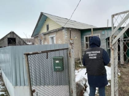 Жителя Пензенской области осудили за убийство матери