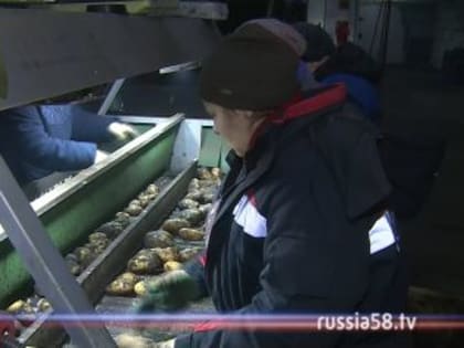 В Пензенской области завершается подготовка к посевной кампании