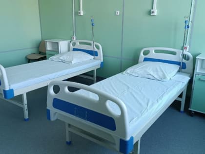 В Пензенской области скончались два пациента с коронавирусом