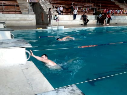 Участники фестиваля семейных команд сдали нормы ГТО по плаванию