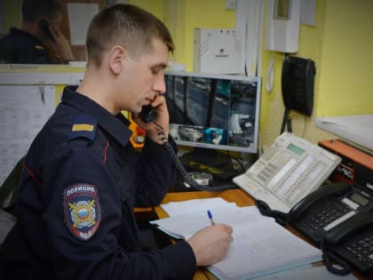 В Пензе полицейские задержали мужчину, подозреваемого в грабеже