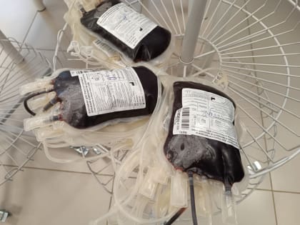 Пензенцам рассказали, можно ли пить алкоголь перед донацией