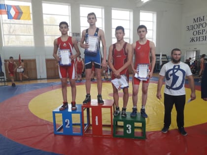 Пензенские спортсмены стали победителями и призерами на всероссийских соревнованиях по греко-римской борьбе