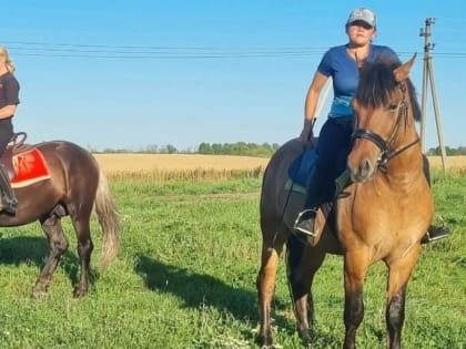 В Пензенской области ищут похитителей трех лошадей