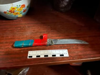 Жительница Вадинска арестована за совершение убийства родственника