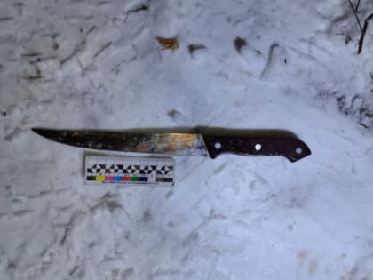 В Пензенской области 27-летний мужчина во время застолья зарезал двух человек