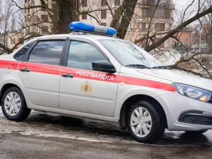 Паводок прибавил работы пензенским росгвардейцам