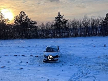 В Пензенской области легковушка вылетела с трассы в кювет