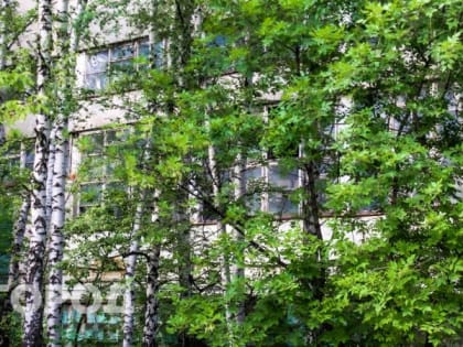 В Пензу с атмосферным фронтом придет тепло