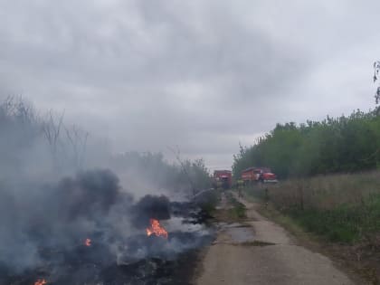 Пензенские пожарные за сутки три раза выезжали на ликвидацию возгораний сухой травы и мусора