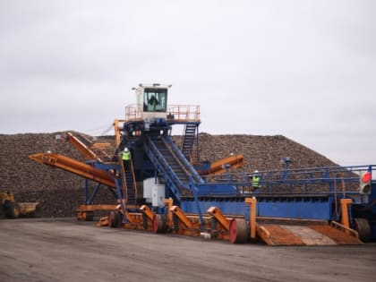 Пензенские сельхозпроизводители передали заводам 2,231 млн тонн сахарной свеклы