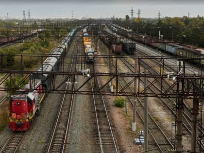 Зерно из Пензенской области экспортировали в Латвию, Турцию и Азербайджан