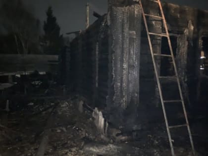 Названа предположительная причина смертельного пожара в Бессоновском районе